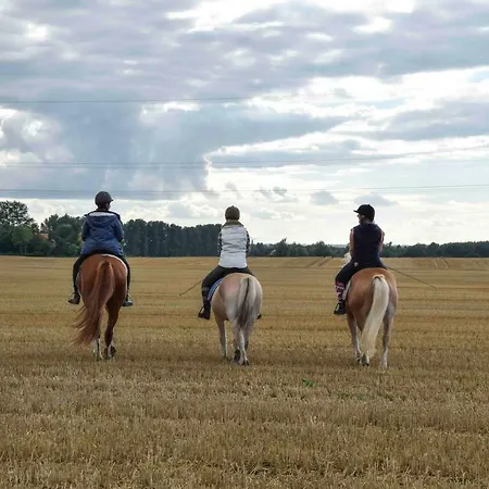 Сasa de vacaciones Wildrose - Ferienhof Friedrichsthal